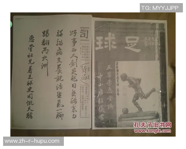 《球场传奇：一位足球巨星的自传与奋斗历程》